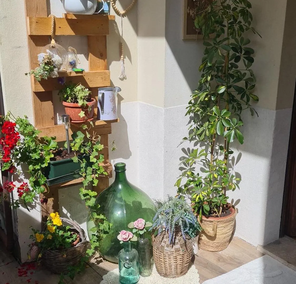 Via Mezzaterra 10 Apartment Feltre