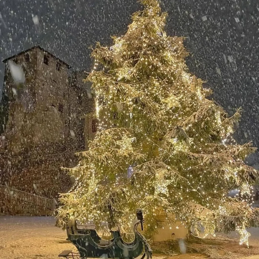 Via Mezzaterra 10 Apartment Feltre